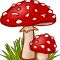 Best Organic mushroom farm in chhattishgarh