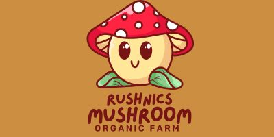 Best Organic mushroom farm in chhattishgarh
